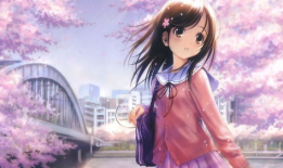 动漫妹子壁纸,梦幻视觉盛宴，邂逅青春魅力