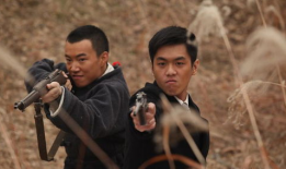 黑狐电视剧免费观看,揭秘神秘特工传奇，免费观看尽享谍战风云